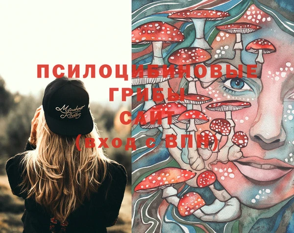 тгк Михайловка