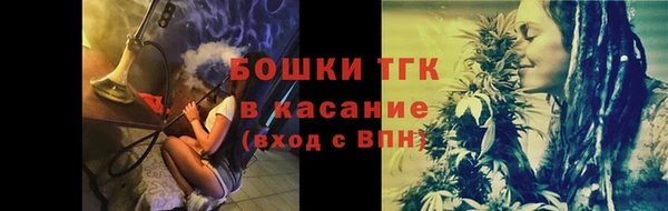 сатива Осинники