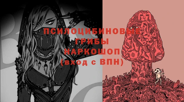 шишки Наволоки