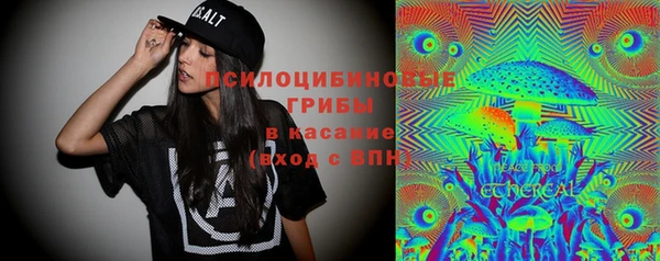 ПСИЛОЦИБИНОВЫЕ ГРИБЫ Навашино