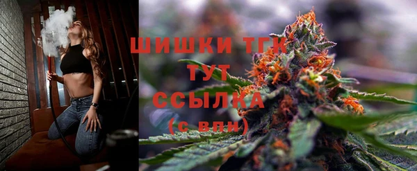 шишки Наволоки