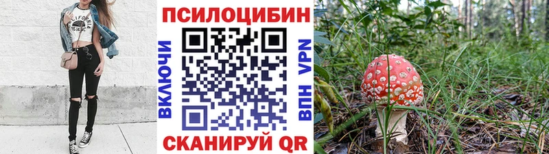 Галлюциногенные грибы Magic Shrooms  Почеп 